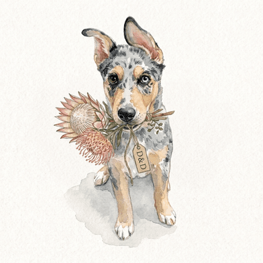 Merlin, our dog, holding a protea bouquet — watercolor
